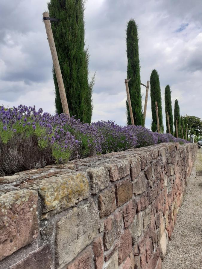 Das Landhotel Weingut Gernert Sankt Martin Dış mekan fotoğraf